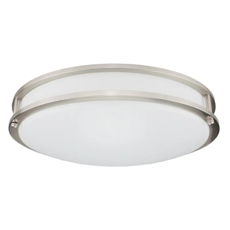 10In 12In 22W 36W Modern Dimming Hallway North America Round Ceiling Lamp Bathrooms Living Room Smart Led Ceiling Light